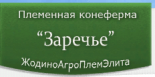 Заречье